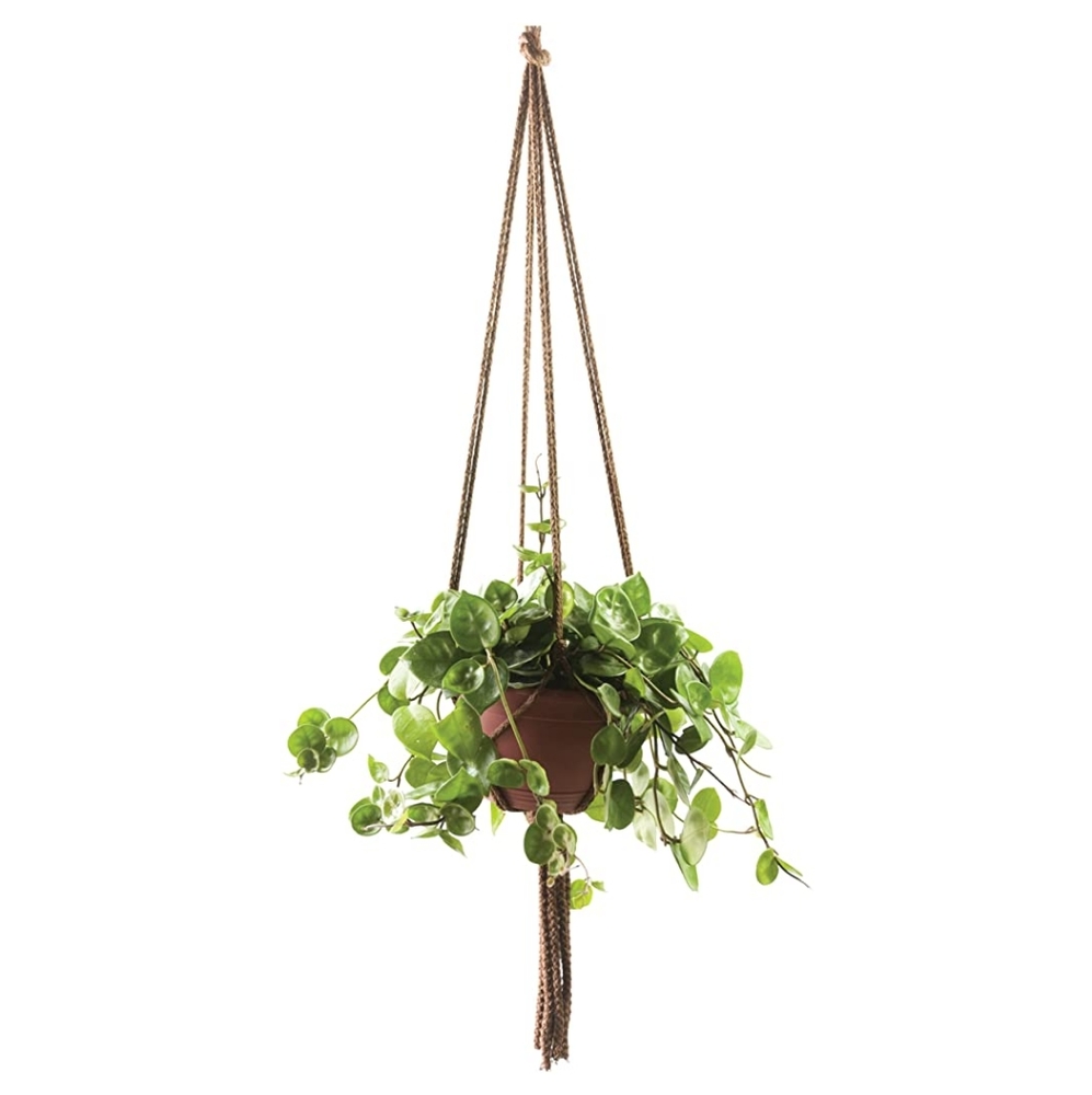 2 brown plant hangers
